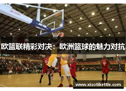 欧篮联精彩对决：欧洲篮球的魅力对抗